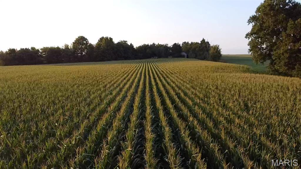 N/A - Farm