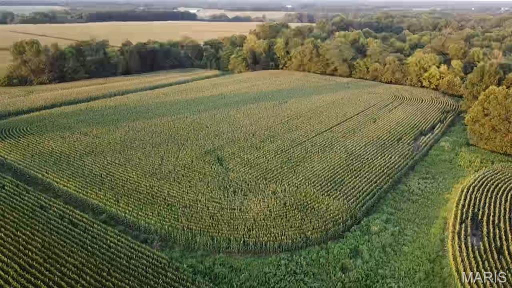 N/A - Farm
