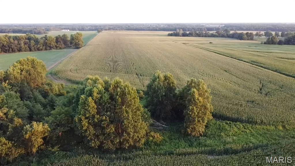 N/A - Farm