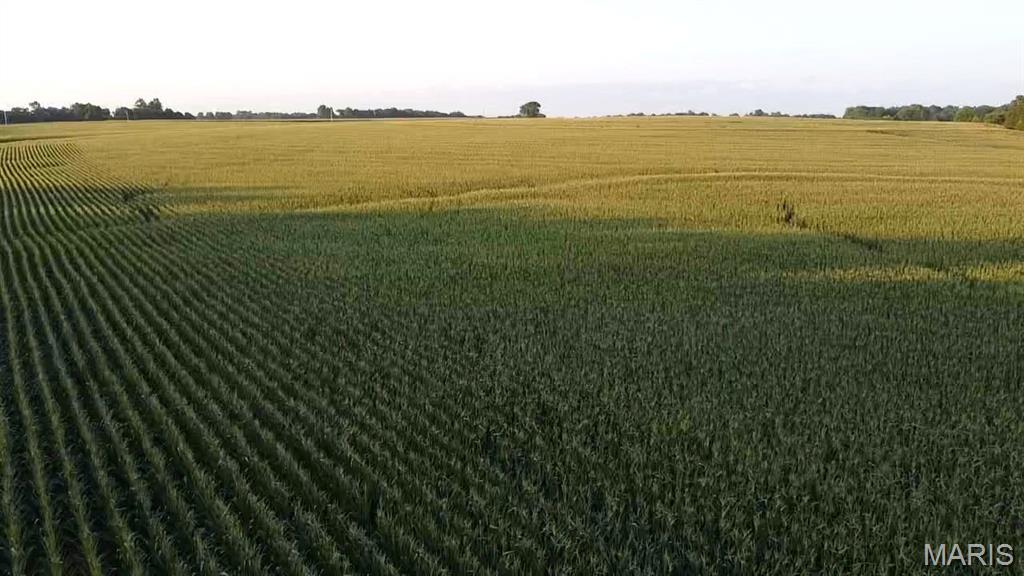 N/A - Farm