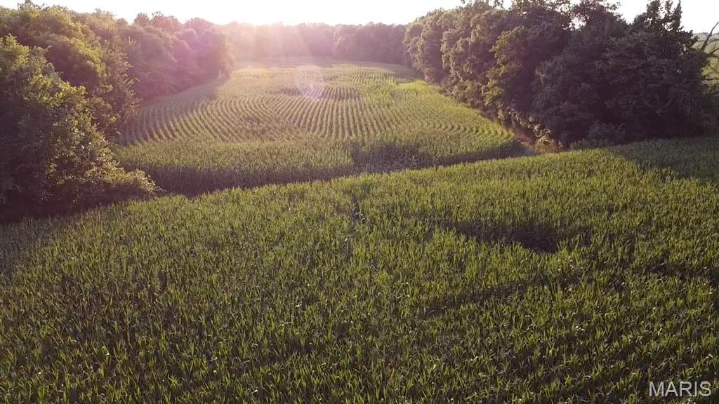 N/A - Farm