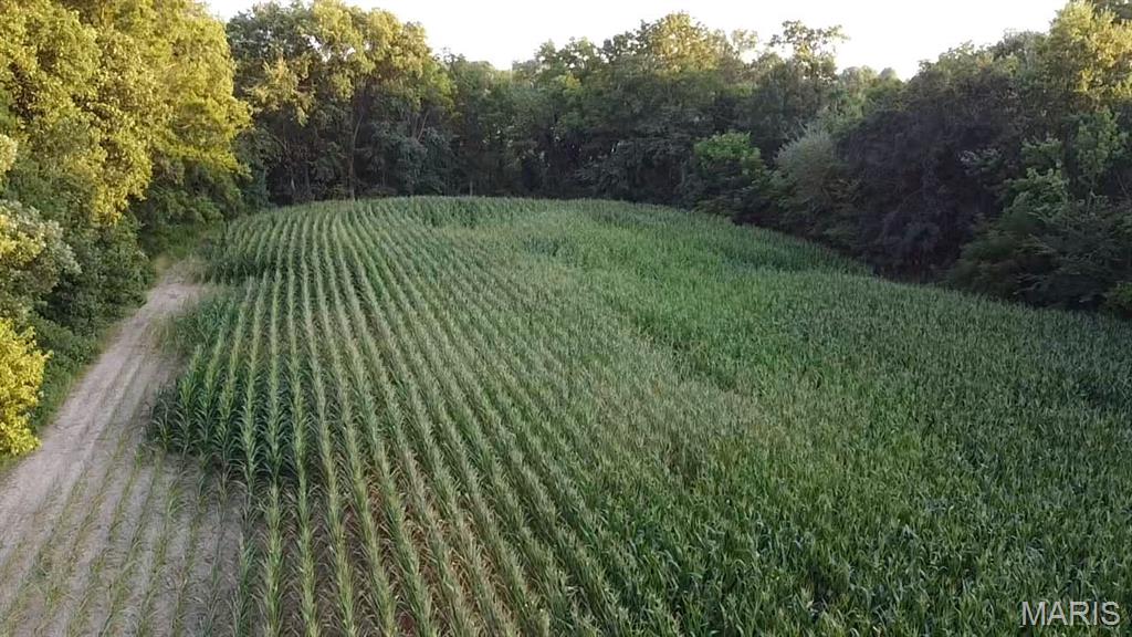 N/A - Farm