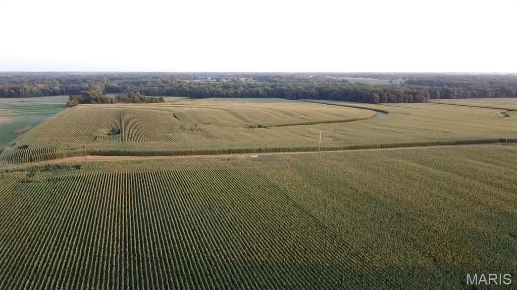 N/A - Farm