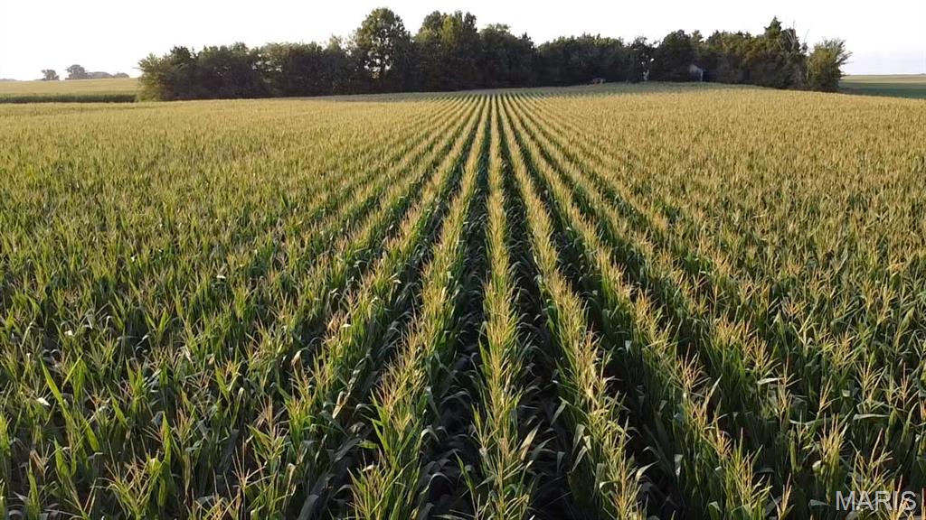 N/A - Farm