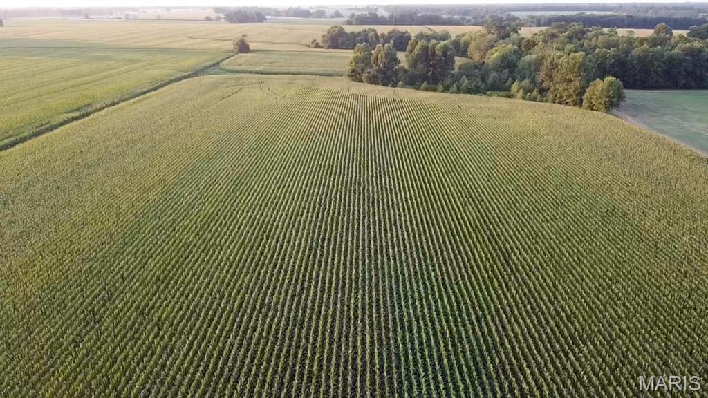 N/A - Farm