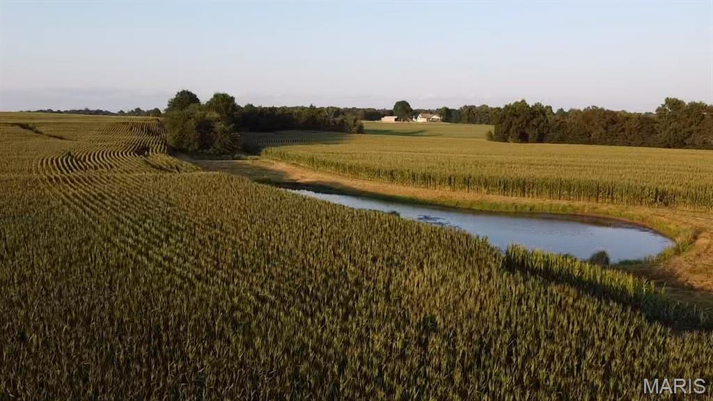 N/A - Farm
