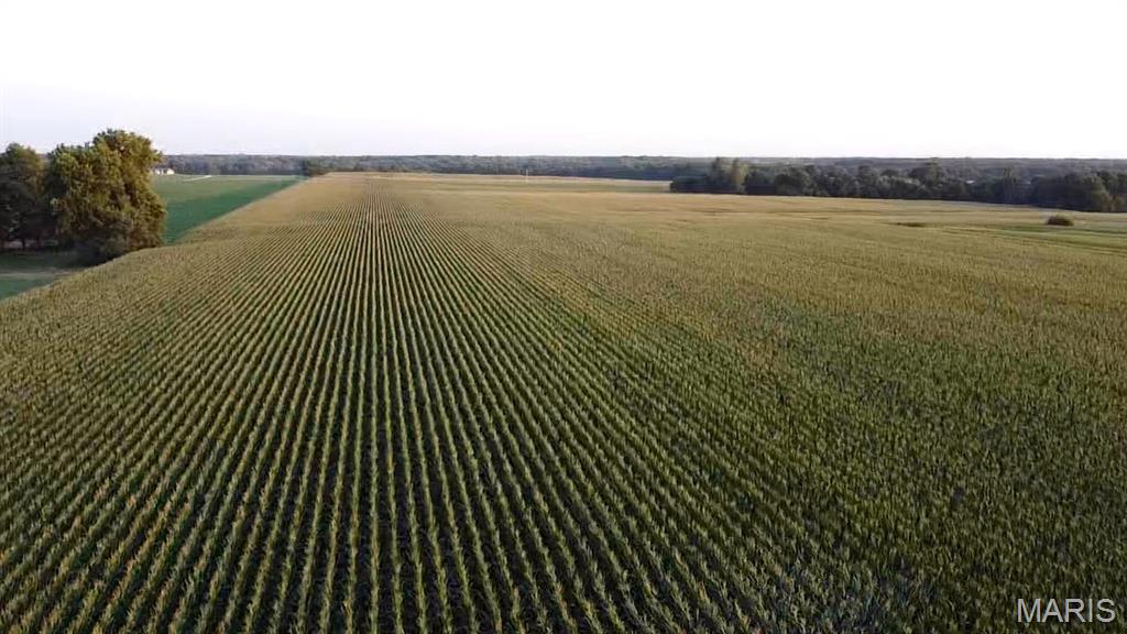 N/A - Farm