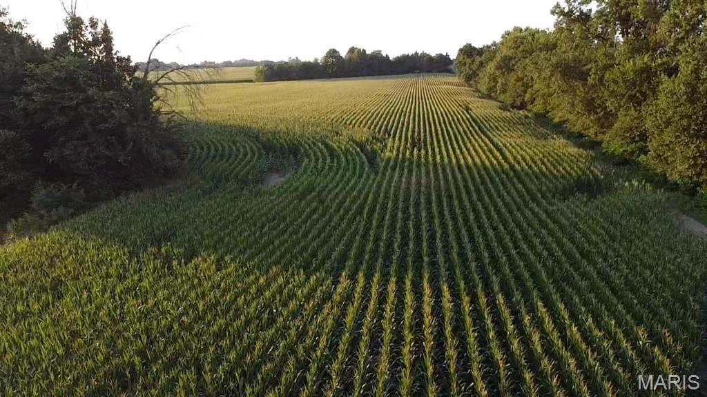 N/A - Farm