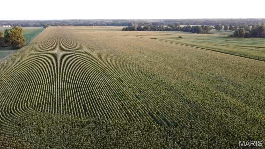N/A - Farm