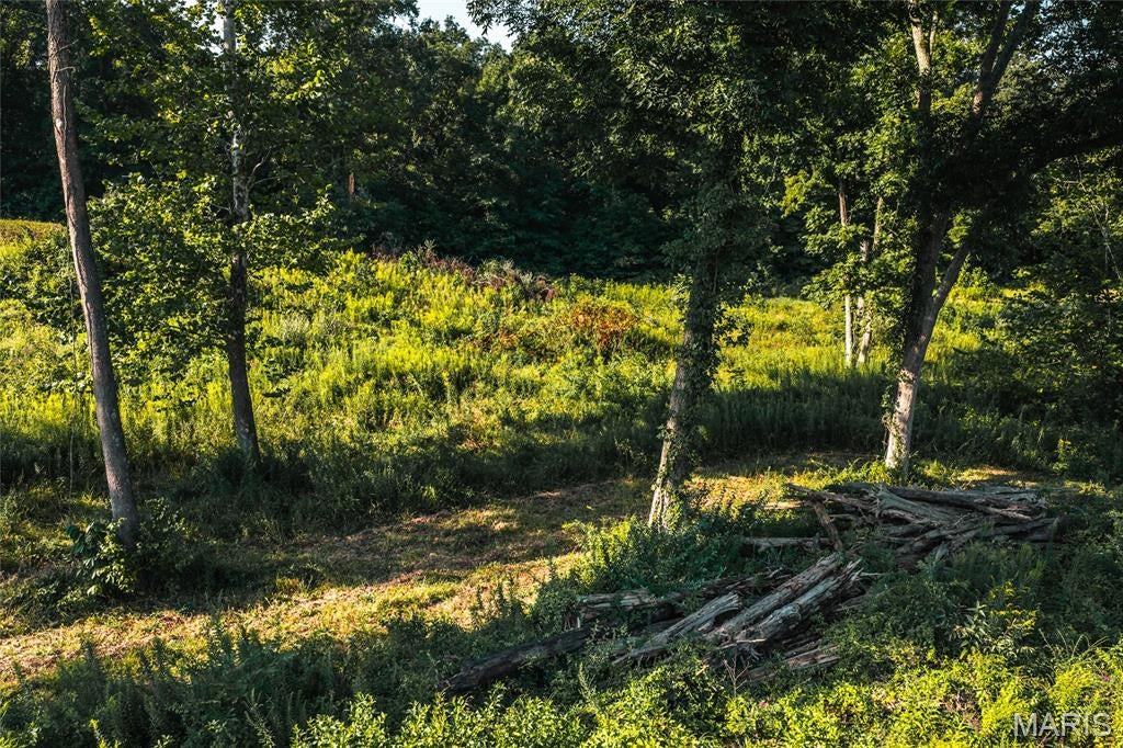Cedar Hill Estates - Land