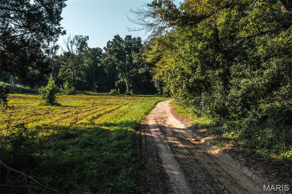 Cedar Hill Estates - Land