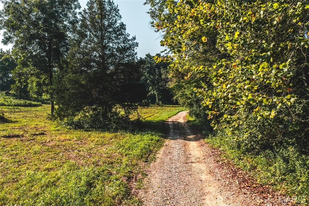 Cedar Hill Estates - Land