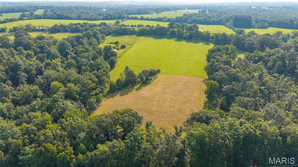 Located off Bollinger County Road 324 and just minutes from Cape Girardeau County, this exceptional 75 +/- acre property offers a rare opportunity to own a well-managed recreational tract with outstanding wildlife habitat, excellent hunting, and multiple building opportunities. The property has been extensively managed with wildlife in mind and supports strong populations of deer, turkey, and quail. Approximately 25 acres of open ground, including several areas of quality pasture, provide a great mix of habitat, while the balance of the property is in timber. Several secluded food plot locations are tucked throughout the woods, allowing you to further enhance the property's already impressive hunting potential. Apple trees planted across the property provide an additional food source for wildlife, while a wet-weather creek offers a seasonal water source and natural travel corridor. An established trail system makes navigating the property a breeze and provides excellent access to multiple stand locations, allowing hunters to take advantage of varying wind directions and approach stands strategically. Electric is available along the county road frontage, and several excellent build sites offer the potential for a hunting cabin, weekend retreat, or full-time country home. A nice three-sided barn with an open front provides convenient storage for equipment, ATVs, tractors, and hunting gear. Whether you're looking for a proven hunting property, a recreational getaway, or a beautiful piece of land to build on, this diverse Bollinger County tract has the habitat, improvements, and location to make it a standout property.