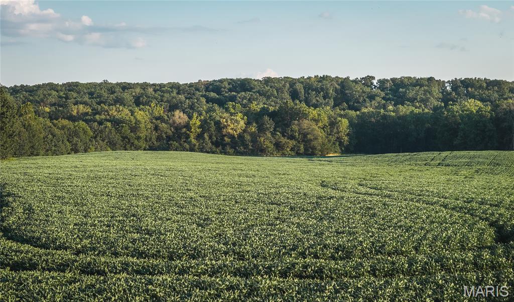 Not in a subdivision - Land