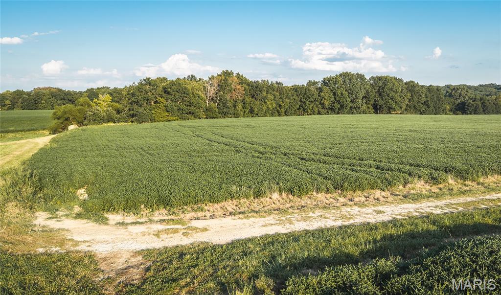 Not in a subdivision - Land
