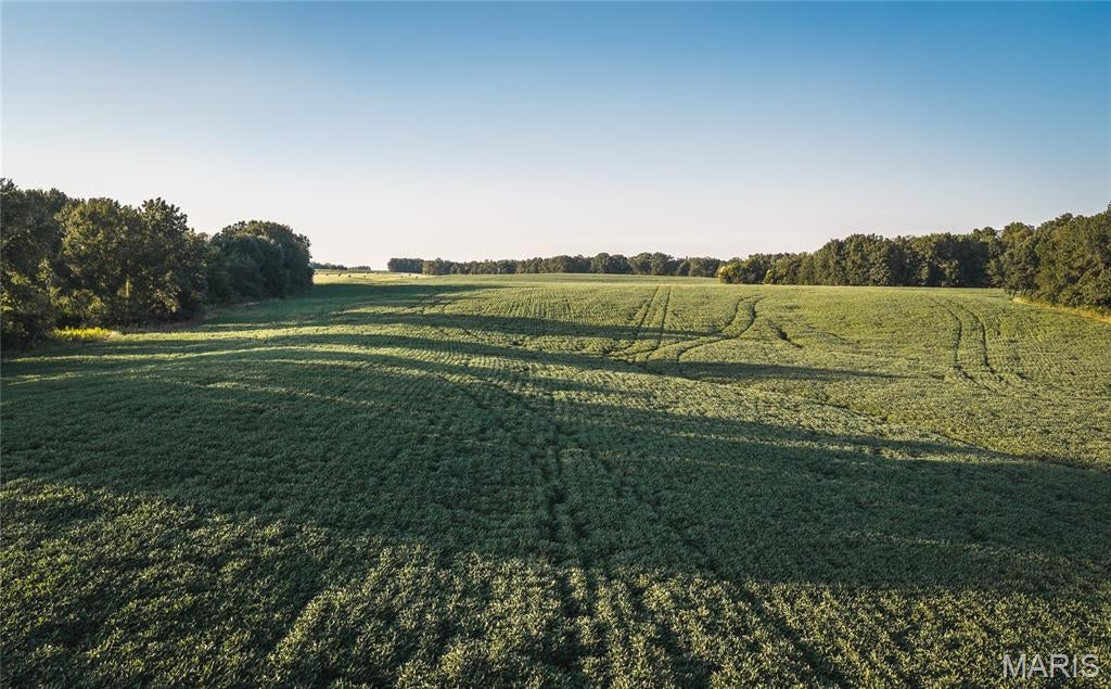 Not in a subdivision - Land