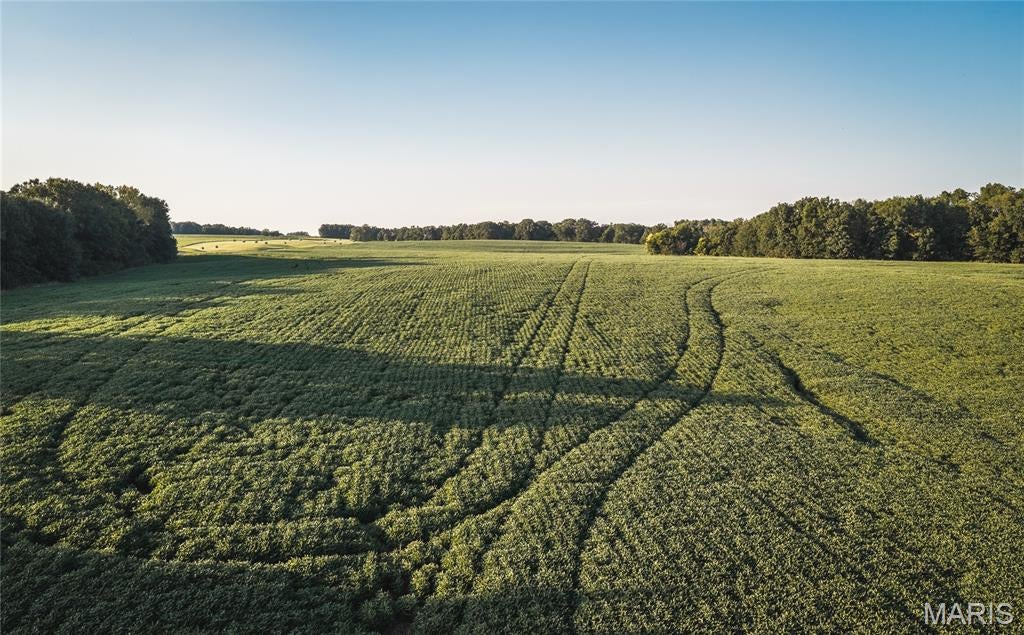 Not in a subdivision - Land