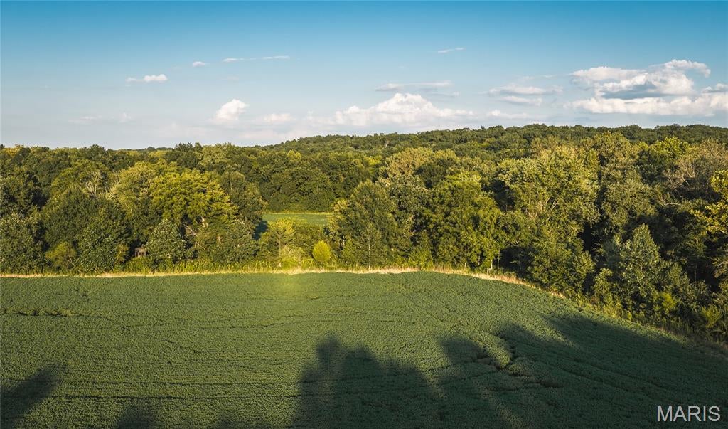 Not in a subdivision - Land
