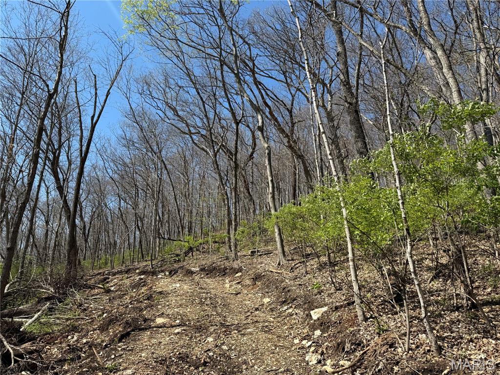 Check out this 4.57 acres ready for your future plans. A road has been cleared for your future building plans! This lot is currently zoned residential. R10 zoning and permitted zoning uses are attached to the listing. Seller also has an additional lot listed for sale on Indian Springs that butts up to a portion of this property.