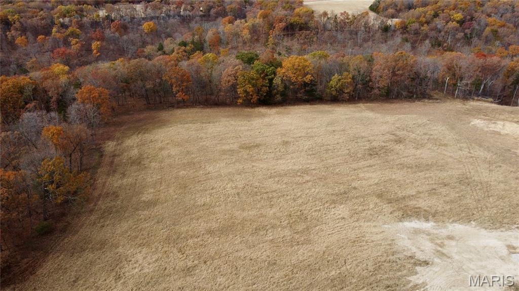 Polston Farms - Farm