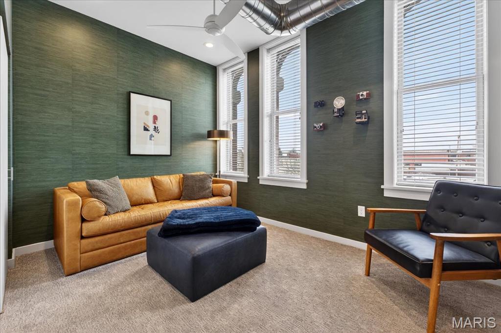 Wolfner Bldg Condo - Residential