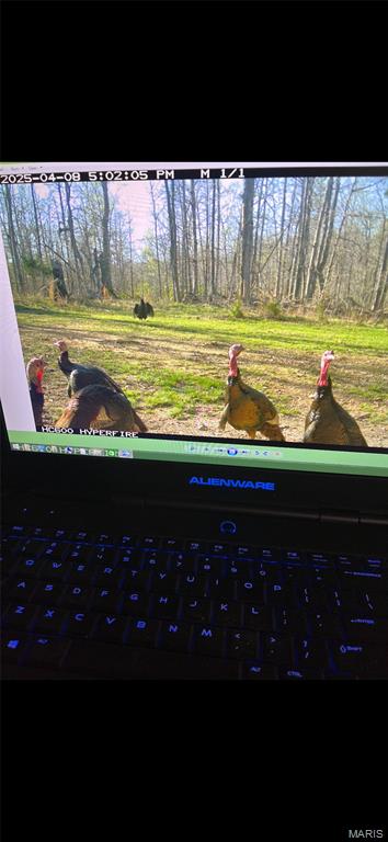 N/A - Farm