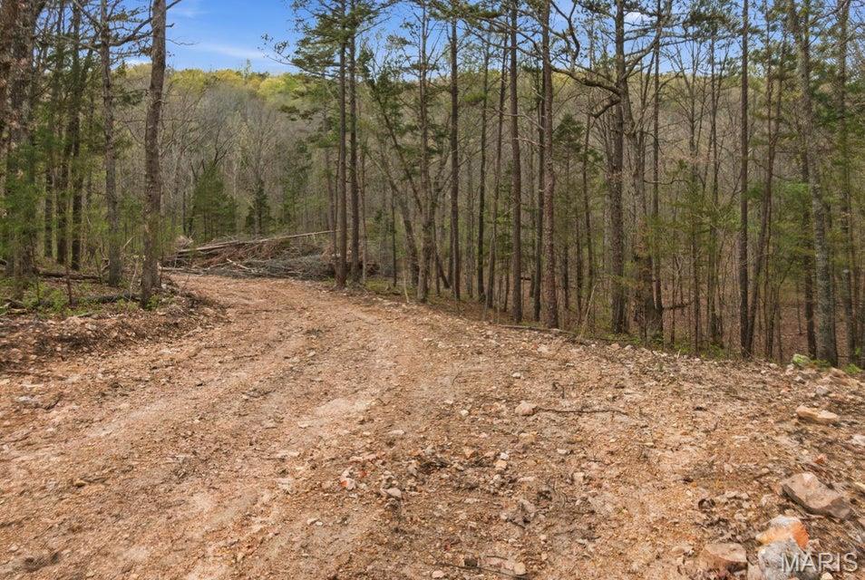 Escape to your own private slice of the Ozarks with this beautiful 95-acre tract offering the perfect blend of recreation, privacy, and opportunity. Whether you're looking to build your dream home, create a weekend getaway, or own an exceptional hunting property, this land checks all the boxes. Featuring mature timber, a scenic wet-weather creek, and abundant wildlife, the property provides excellent habitat for deer and turkey while offering multiple potential building sites tucked away in a peaceful, secluded setting. Enjoy the tranquility of nature while still being just a short drive from the Big Piney River, Mark Twain National Forest, and the world-famous Current River--putting floating, fishing, hiking, and endless outdoor adventures right at your fingertips. The Big Piney River is known for its scenic bluffs, floating, fishing, and public access, while nearby Mark Twain National Forest offers extensive opportunities for hiking, camping, hunting, and wildlife viewing. If you've been searching for acreage that offers privacy, natural beauty, and unlimited potential, this 95-acre property is ready to make your vision a reality.