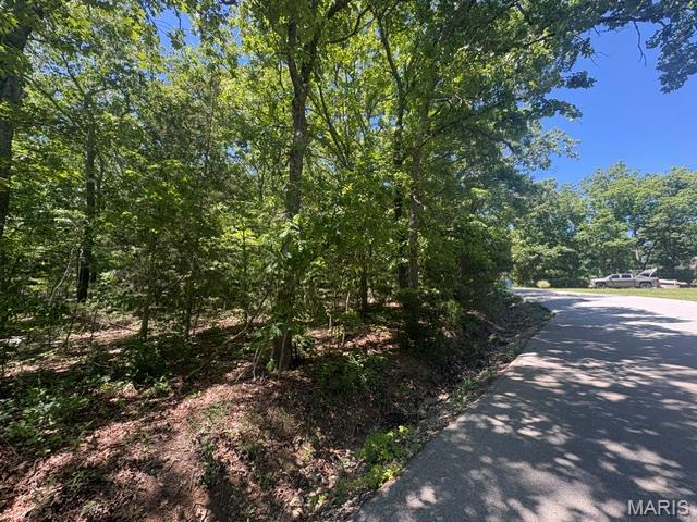 Build Your Dream Getaway Near Autumn Lake in Raintree Plantation! ????

Location, Location, Location! Conveniently situated just 1/2 mile from the front gate and approximately 1/2 mile from the beach, park and pavillion are. This spacious approximately 1/3-acre lot offers the perfect blend of accessibility, recreation, and future potential.

Whether you're ready to build your dream home now or simply want to secure an affordable piece of Raintree and enjoy its outstanding amenities, this property provides exceptional value in one of the community's most desirable locations.

Live like you're on vacation every day with resort-style amenities, including:

4 private lakes for boating, fishing, kayaking, and relaxation
Beaches, swimming areas, and beautiful lake views
Golf course, country club, and on-site restaurant
Hiking and biking trails, campgrounds, and sand volleyball courts
Golf cart-friendly streets for easy neighborhood living

Ownership includes access to the Country Club for just $271/year and full community amenities for only $299/year.

All of this is located just 35 minutes from South County (63128), making it the perfect weekend retreat or future full-time residence.

Be sure to view all photos and discover the incredible lifestyle that Raintree Plantation offers. As a resident myself, I can honestly say:

"It's an amazing place to live, play, relax, and make lifelong memories. Come join us!" ????????