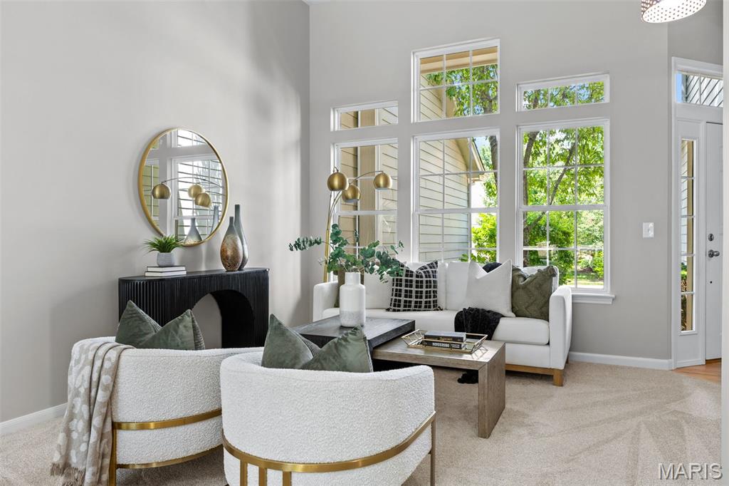 Villas at Chesterfield Bluffs - Residential