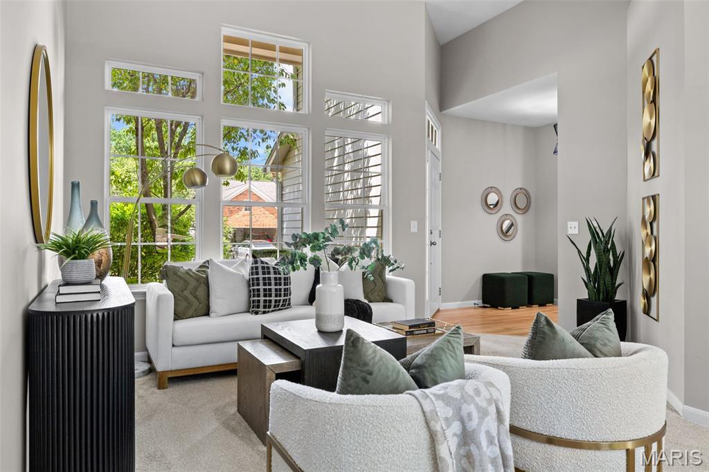 Villas at Chesterfield Bluffs - Residential