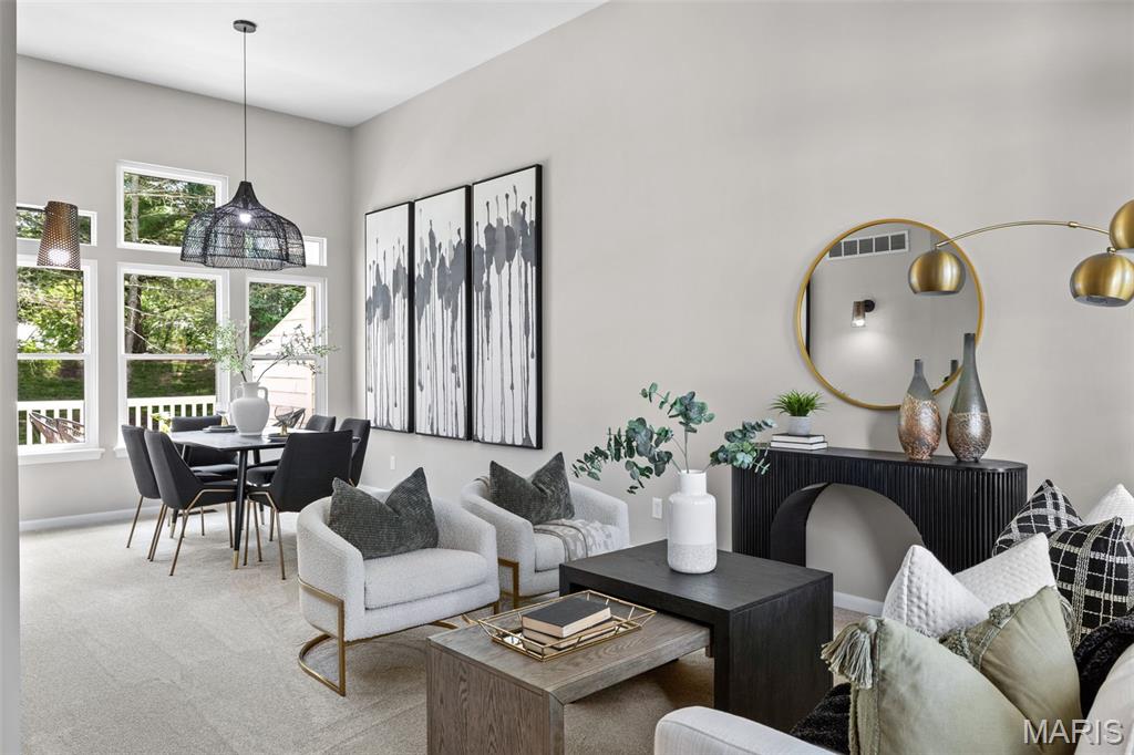 Villas at Chesterfield Bluffs - Residential