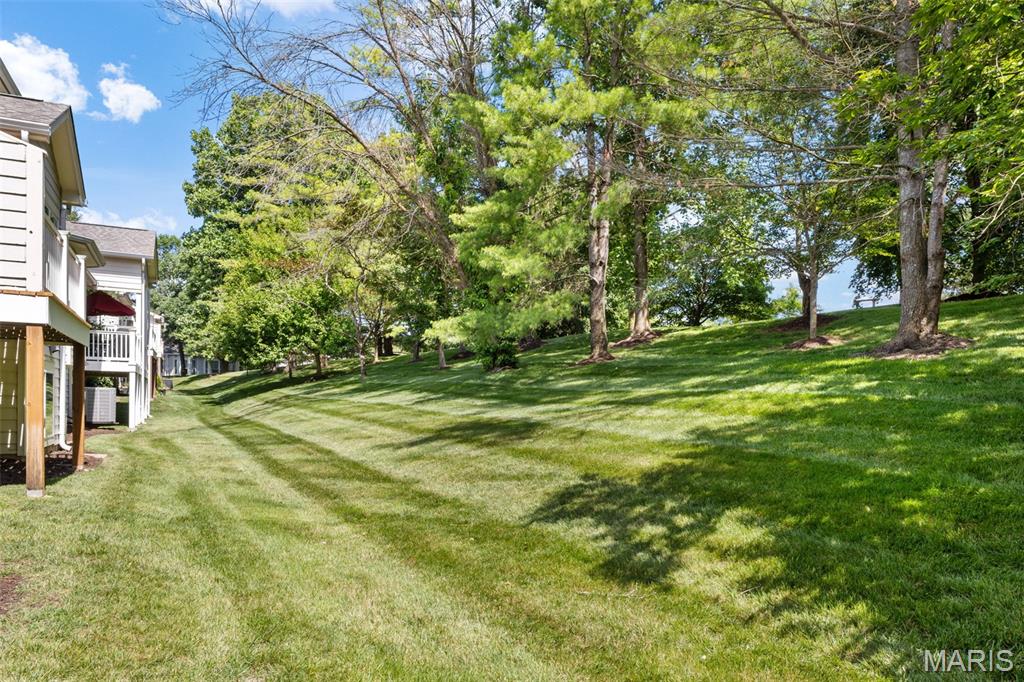 Villas at Chesterfield Bluffs - Residential