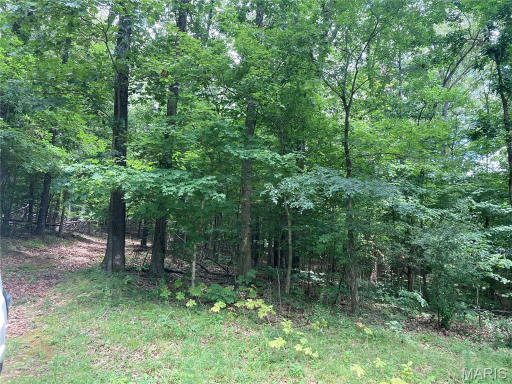 Cedar Hill Lake Estates - Land