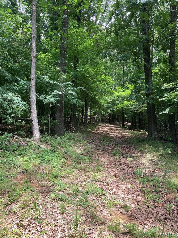 Cedar Hill Lake Estates - Land