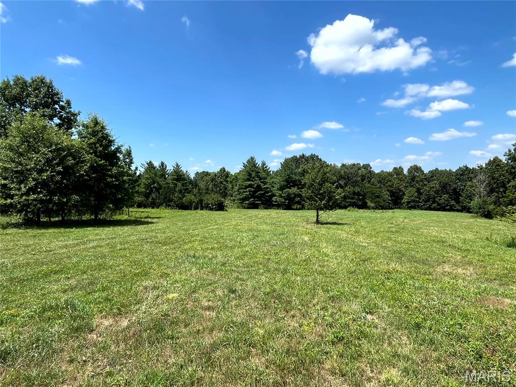 Approx. 15 acres m/l with deeded 50' access to Penrod Road. Improvements include a 40'x76' steel frame metal storage shed w/2 overhead doors & 1 walk in door w/dirt floor & small storage shed and shared access to well with water hydrant on site. Combination of pasture & woods, some fencing. Prime homesite or investment tract. Lots of wildlife.  Selling at public auction on Monday, August 24, 2026 with a public open house on Thursday, August 13, 2026, go to our website for more details.
Acreage is approximate, subject to final survey.