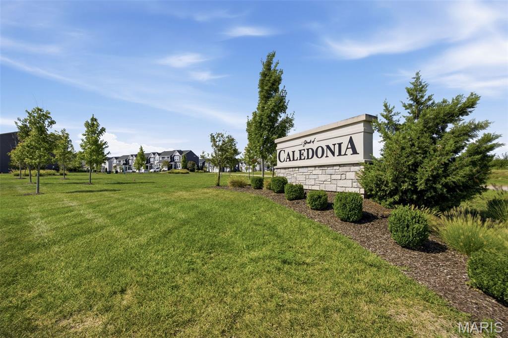 Streets Of Caledonia #5 - Residential