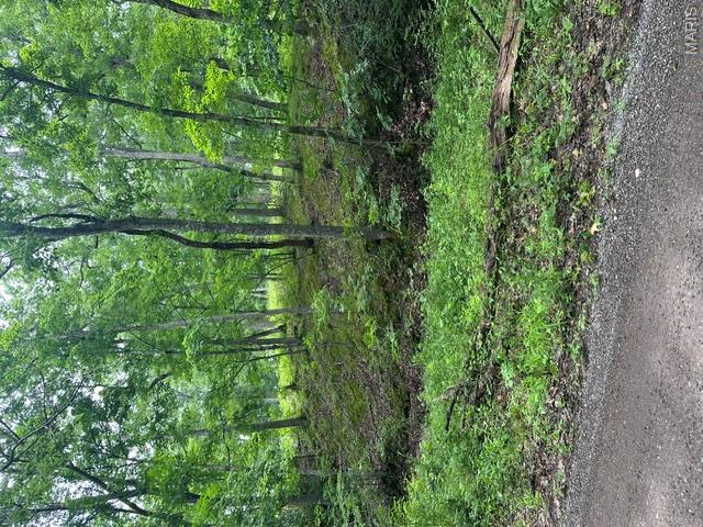 Unincorporated - Land