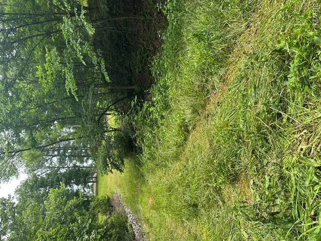 Unincorporated - Land