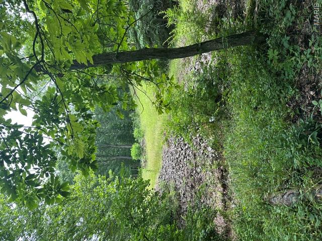Unincorporated - Land