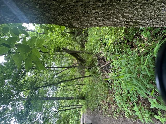 Unincorporated - Land