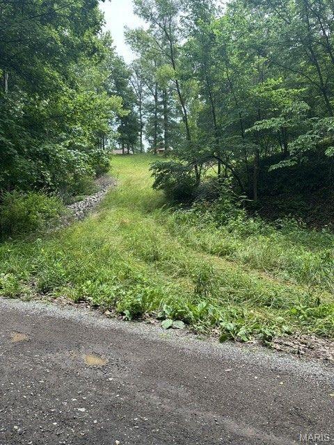 Rare opportunity to build on 2 beautiful acres in a peaceful country setting! Documents available to show St Charles County Board of zoning adjustment (minimum lot size for required 3 acres to 2 acres zoning variance allowing a residential home to be built on the 2-acre parcel, a unique advantage since the area typically requires 3 acres for residential construction. A great  mix of open ground and scattered trees, this property offers the perfect blend of privacy, flexibility, and rural charm. Enjoy the feel of country living while still being conveniently located near Wentzville, Foristell, and major highway access. Whether you are dreaming of a custom home, hobby farm, or simply extra space to spread out, this property offers endless potential. Survey available upon request.