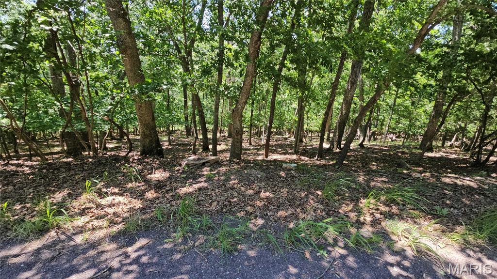Lake Sherwood Estates - Land