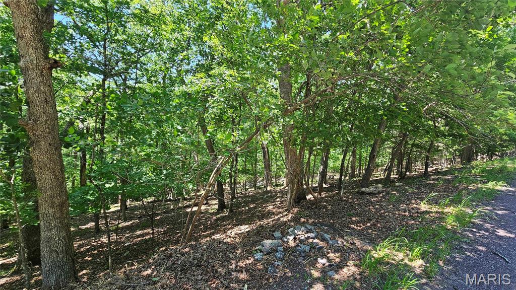 Lake Sherwood Estates - Land