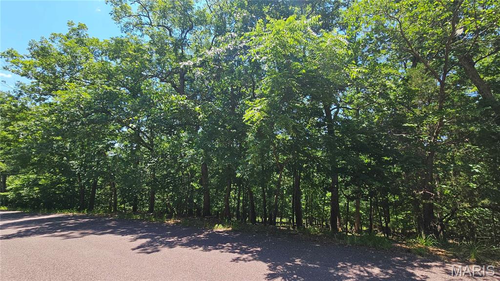Lake Sherwood Estates - Land