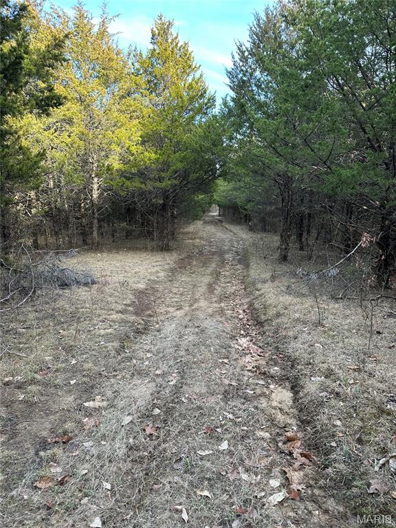 Pleasant Pines Subdivision - Farm