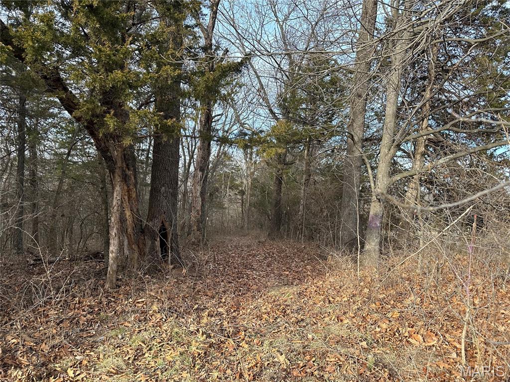 Pleasant Pines Subdivision - Farm