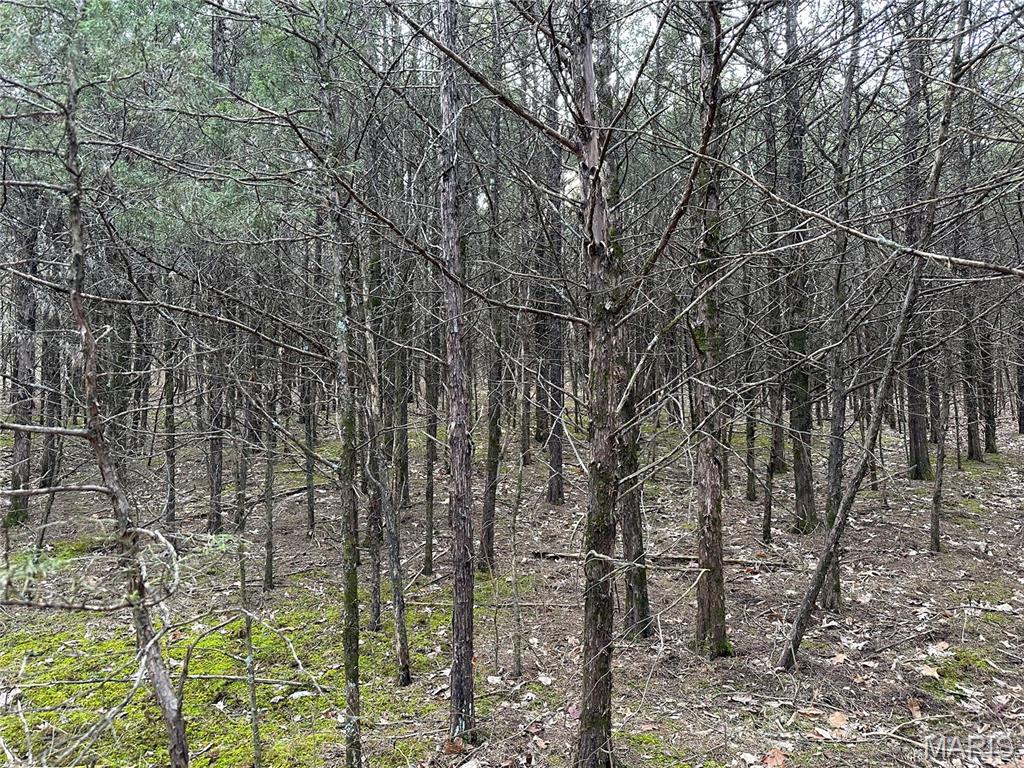 Pleasant Pines Subdivision - Farm
