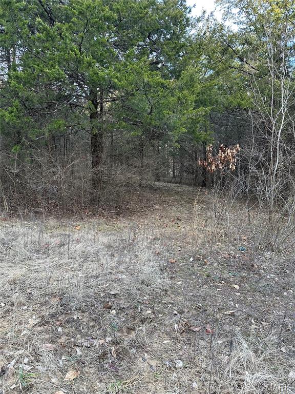 Pleasant Pines Subdivision - Farm