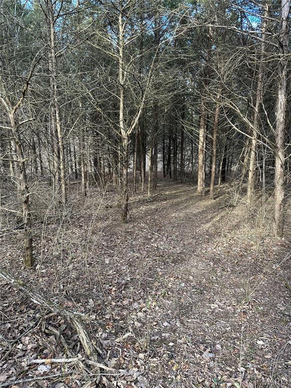 Pleasant Pines Subdivision - Farm