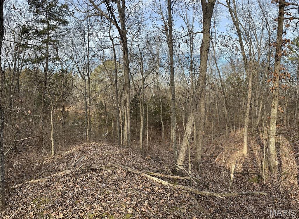 Pleasant Pines Subdivision - Farm